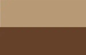 Beige Brown Rectangle