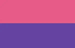 Pink Purple Rectangle