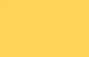 Yellow Rectangle