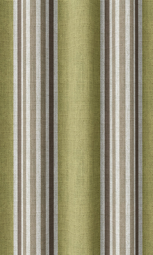 Striped Shades (Chartreuse Green/ Brown)